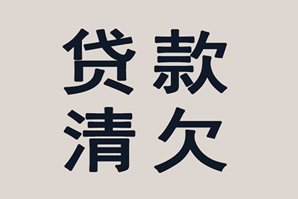 罗定清账公司